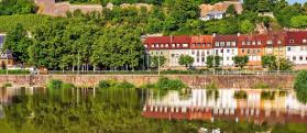 Unser Reisehighlight: FRÄNKISCHES Weinland - zwischen lieblichem Taubertal & Romantischer Straße